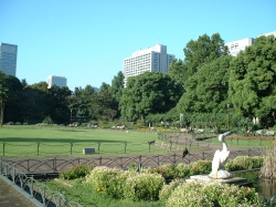 DSCF00721.JPG