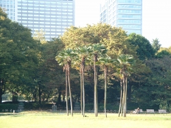 DSCF00731.JPG