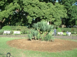DSCF0075.JPG