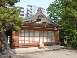 matsumoto-5.jpg
