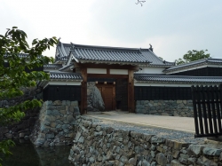 matsumoto-7.jpg