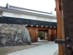 matsumoto-8.jpg