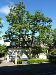 nagoya-30.jpg