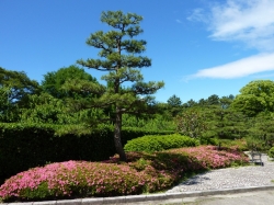 nagoya-33.jpg