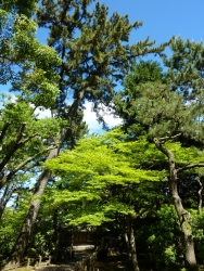 nagoya-43.jpg