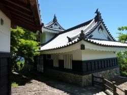 gifu-22.jpg