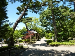 gifu-35.jpg