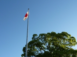 inuyama-92.jpg