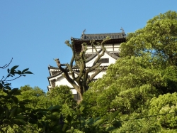 inuyama-96.jpg