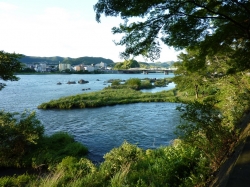 inuyama-97.jpg