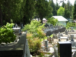 takayama-59.jpg