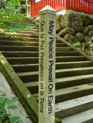 takayama-66.jpg