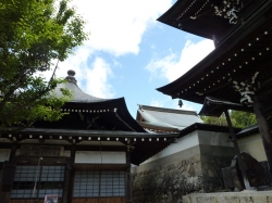 takayama-72.jpg