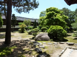 takayama-141.jpg