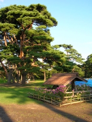 DSCN1858.JPG