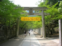 kotohira1.jpg