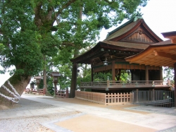 kotohira3.jpg