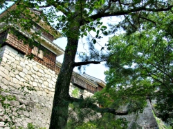 matsuyama-jo1.jpg