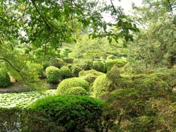 matsuyama_7.jpg