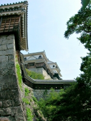 matsuyama_9.jpg