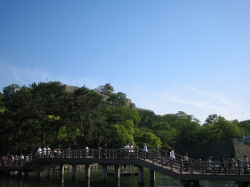 IMG_0773.JPG