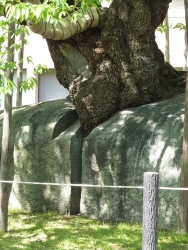 morioka-4.jpg
