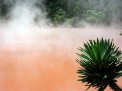 beppu-hells14.jpg