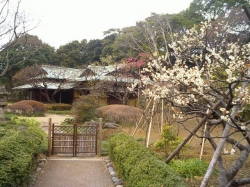 CA260154.jpg