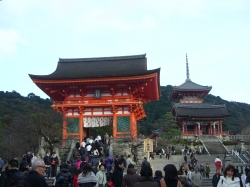 P10101011.JPG