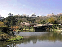 Genkyu-en Garden, Hikone
