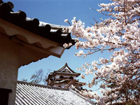 Hikone castle