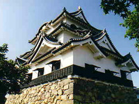 Hikone castle