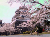 Iga-ueno castle