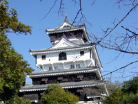 Iwakuni castle