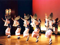 Awa Dance, Tokushima