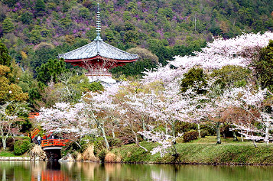 Pagoda viewed from Lake Ozawa, Daikaku-ji Temple, Kyoto (photo bu Zenzai-Doji)