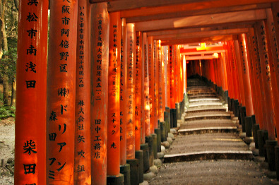 Torii gates tunnel, Fushimi Inari Taisha Shrine, Kyoto