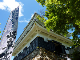 Gifu Castle