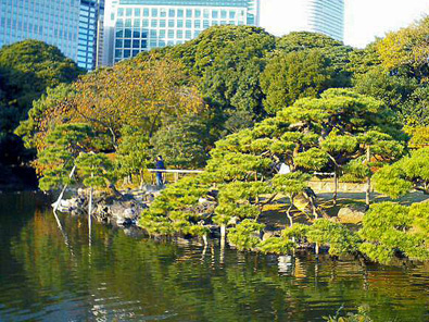 Hamarikyu Gardens
