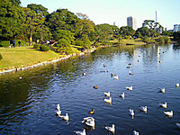 Hamarikyu Gardens