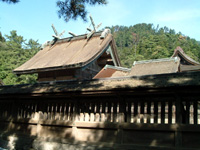 Izumo Taisha Grand Shrine