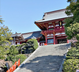 Tsurugaoka Hachiman-gū Shrine, Kamakura