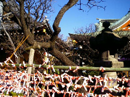 Kameido Tenjin Shrine on New Year's Day