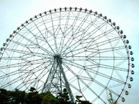 Kasai Rinkai-koen Park, Tokyo