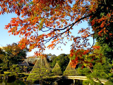 Kiyosumi Gardens in autumn, Fukagawa