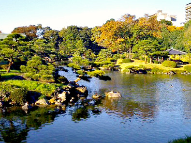 Kiyosumi Gardens in autumn, Fukagawa