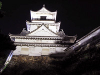 Kochi castle