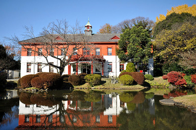Koishikawa Botanical Garden, Tokyo (photo by kanegen - Creative Commons Licence)