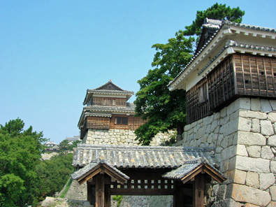 Matsuyama castle (&copy; Eupedia.com)