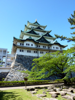 Nagoya castle, Aichi prefecture